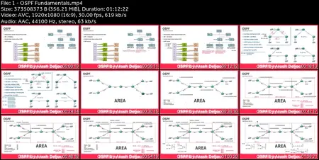 OSPF Mastery: From Basics to Advanced by Arash Deljoo