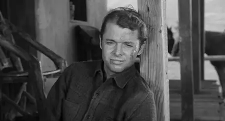 Cast a Long Shadow (1959)