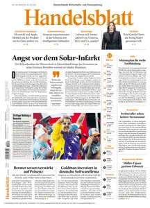 Handelsblatt - 30 Juli 2024