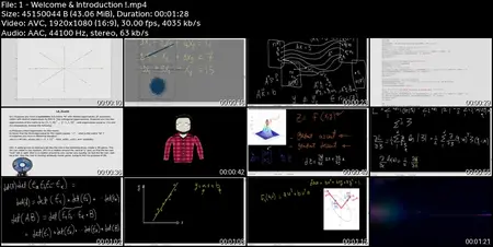 College Level Advanced Linear Algebra! Theory & Programming!