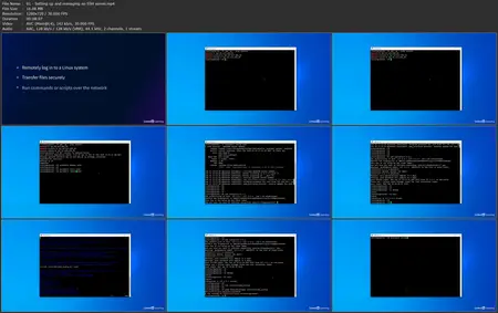 Strategic Linux for Network Professionals: Security, Monitoring, and Automation