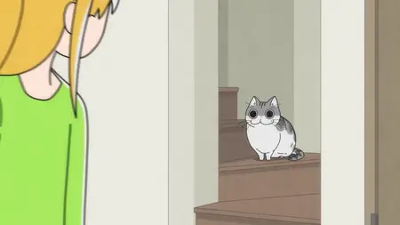 Nights With a Cat - S01E76