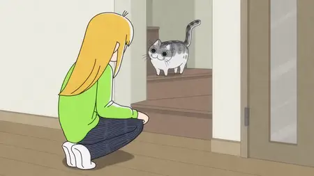 Nights With a Cat - S01E76