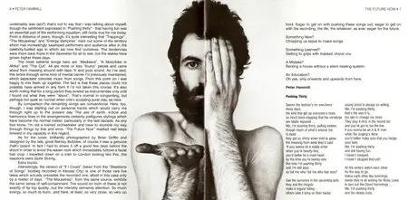 Peter Hammill - The Future Now - 1978 (2006)
