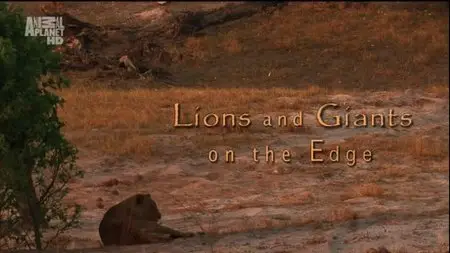 Discovery Channel - Animal Planet: Lions and Giants (2015)