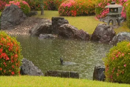 Japanese Gardens - by Tony Helsloot (2010)