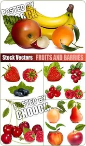 Fruits and barries - Stock Vector