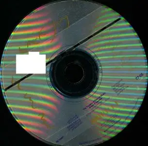 La Monte Young - The Second Dream of the High-Tension Line Stepdown Transformer From the Four Dreams of China (1991)