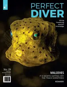 Perfect Diver - September-October 2023