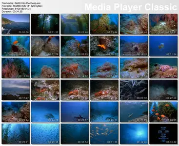 IMAX - Into the Deep (1994)