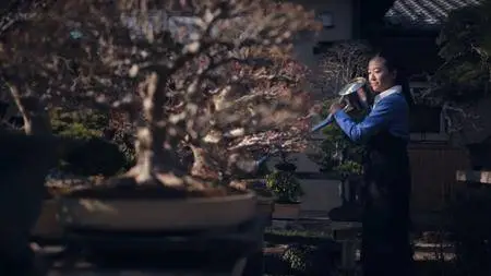 BBC - The Art of Japanese Life: Nature (2017)