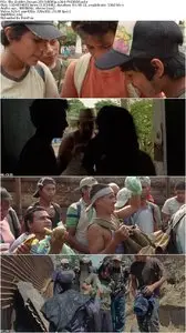 The Golden Dream (2013)