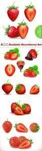 Vectors - Realistic Strawberry Set