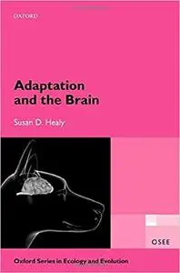 Adaptation and the Brain