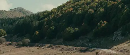 The American / Американец (2010)