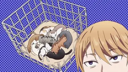 Kaguya sama wa Kokurasetai TV  SP Kaguya sama wa Kokurasetai 06 (BD 1920x1080 x 264 Flac mkv" yEnc