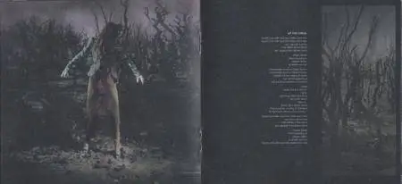 Tori Amos - Native Invader (2017) {Universal Hardback Book Edition with full artwork}
