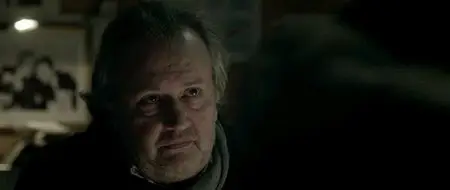 Il Capitale Umano (2013)