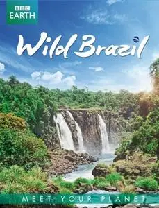 BBC - Earth: Wild Brazil (2014)