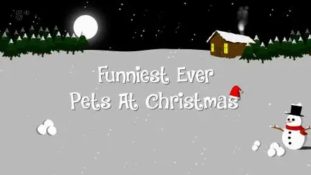 Ch5. - Funniest Ever Pets At Christmas For Help The Animals (2019)