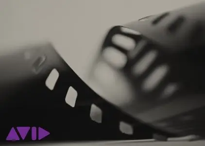 Avid DS 11.0.2