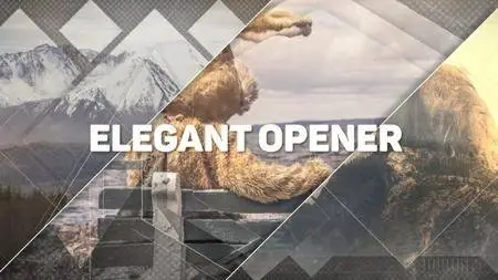 Elegant Opener - Project for After Effects (VideoHive)