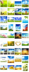 Super nature collection. All my posts