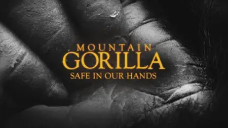 BBC: Mountain Gorilla. Ep3 - Safe in Our Hands / BBC: Горная горилла. Серия 3 - Безопасность в наших руках (2010) [ReUp]