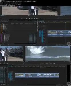 Ripple Training - Editing in Premiere Pro CC 2015