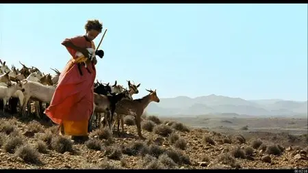 Desert Flower / Wüstenblume [DVD9] (2009)