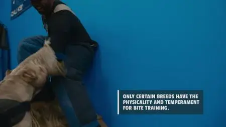 Canine Intervention S01E03