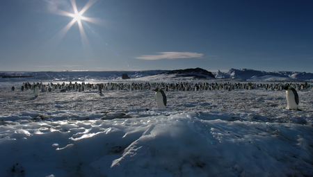 Terranoa - Expedition Antarctica: Series 1 (2016)