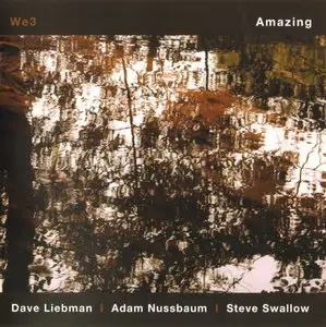 We3 (Dave Liebman) - Amazing (2011) + Dave Liebman & Richie Beirach - Unspoken (2011) [combined re-up]