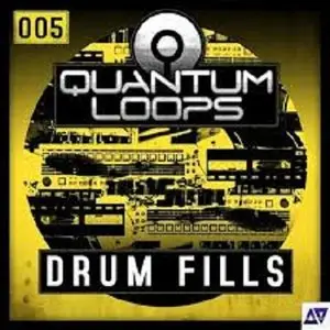 Drum Fills (WAV)