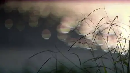 Fear Thy Neighbor S05E07