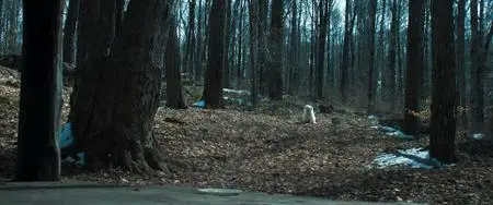 The Virtuoso (2021)
