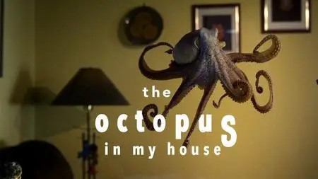 BBC Natural World - The Octopus in My House (2019)