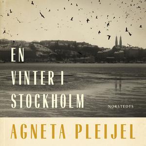 «En vinter i Stockholm» by Agneta Pleijel