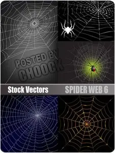 Spider web 6 - Stock Vector