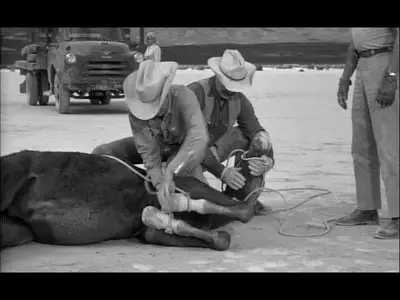 The Misfits (1961)