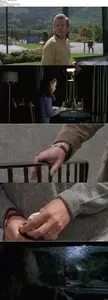 The Vanishing (1993)