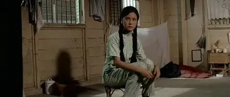 The Big Boss (1971)