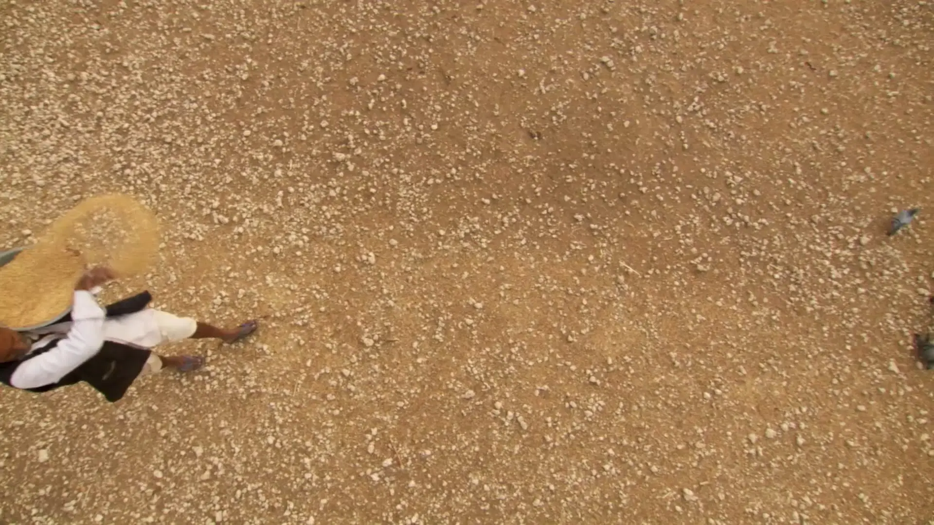 Off The Fence - Wildest India: Series 1 (2012)