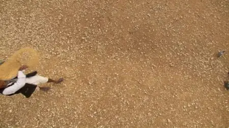 Off The Fence - Wildest India: Series 1 (2012)