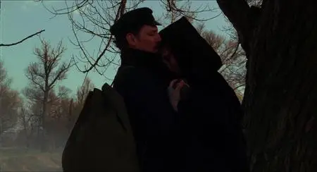 Laurin (1989)