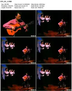 Oscar Herrero: Guitarra Flamenca Paso a Paso Vol. 2