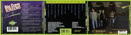 Big Dave & The Ultrasonics - Discography 3 Alben (1994-1999)
