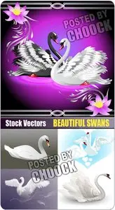 Beautiful swans - Stock Vector
