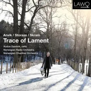 Audun Sandvik, Norwegian Radio Orchestra & Norwegian Chamber Orchestra - Trace of Lament (2022)