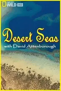 Desert Seas (2011)